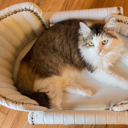 Royal Davenport Luxury Pet Bed