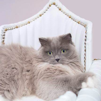 Royal Davenport Luxury Pet Bed