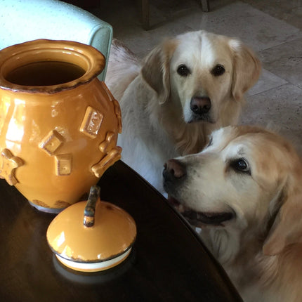 Dog Treat Jar - Green