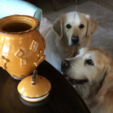 Dog Food/Water bowl - Caramel