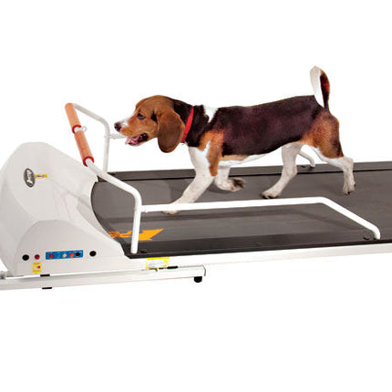 Petrun 52" Foldable Treadmill