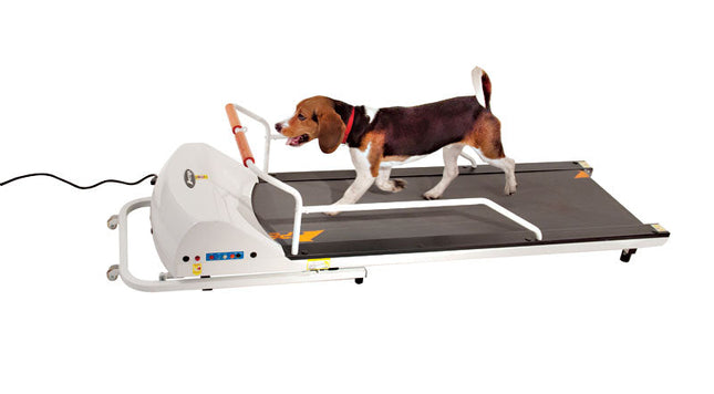 Petrun 52" Foldable Treadmill