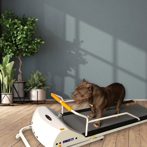 Petrun 52" Foldable Treadmill