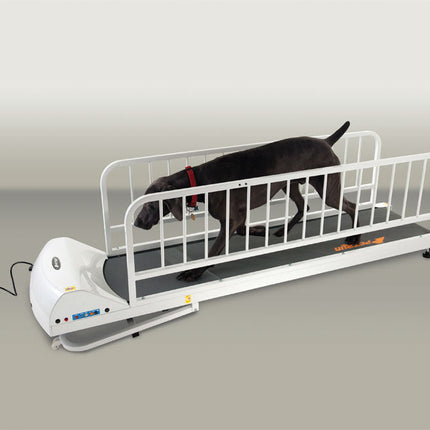 Petrun Large Breed Treadmill