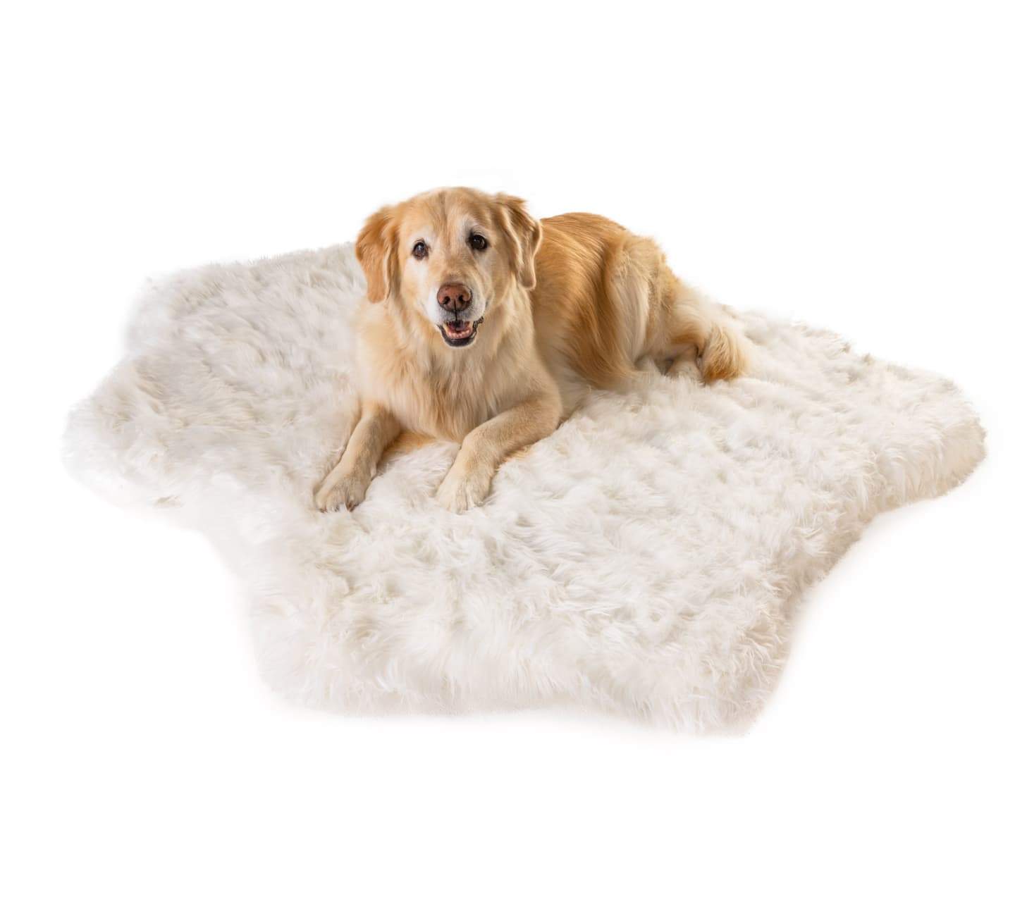 PupRug Animal Print Memory Foam Dog Bed - Polar Bear Faux Hide