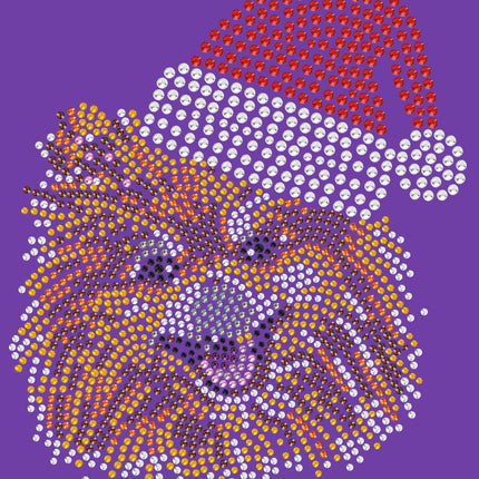 Pomeranian with Santa Hat - Women's T-shirt