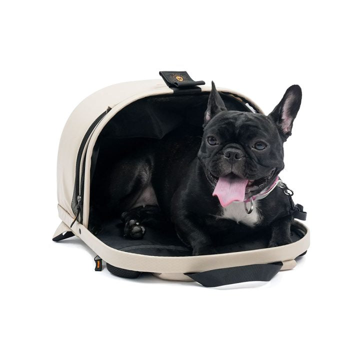 Panorama Zipper-free Small Pet Travel Airline-Approved Carrier