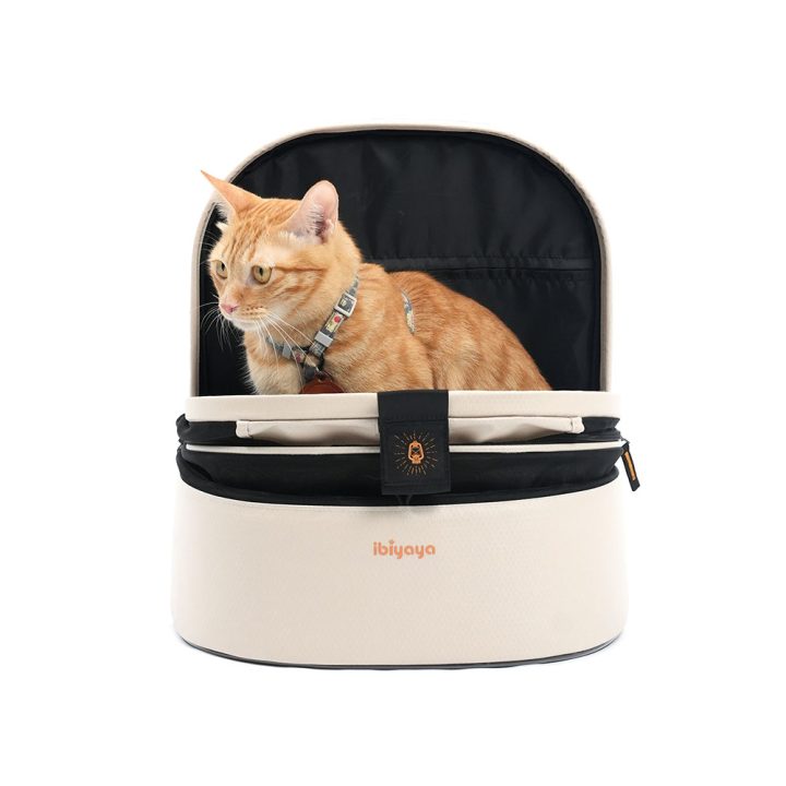 Panorama Zipper-free Small Pet Travel Airline-Approved Carrier