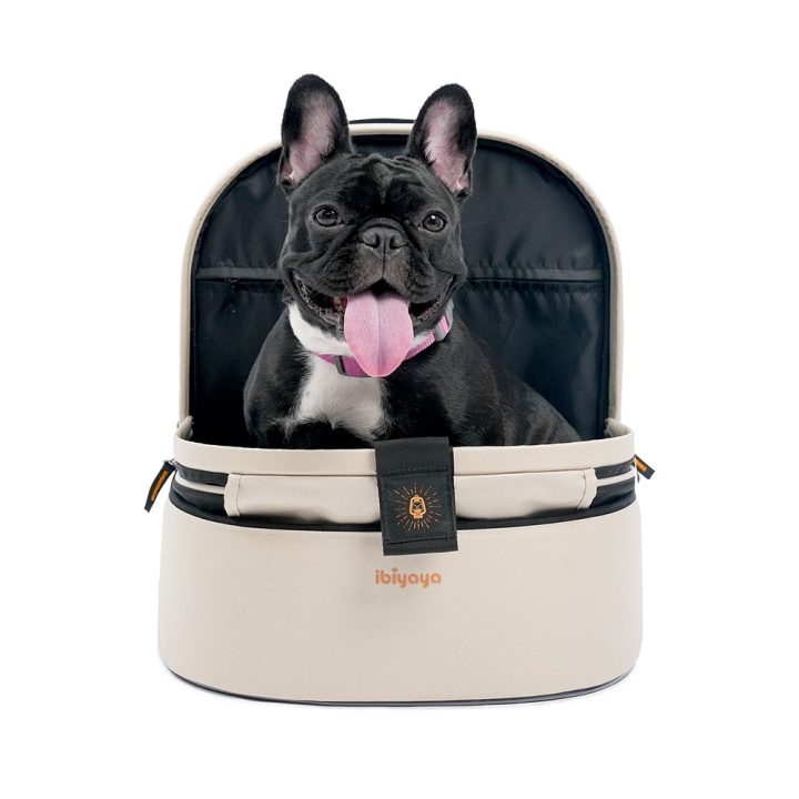 Panorama Zipper-free Small Pet Travel Airline-Approved Carrier