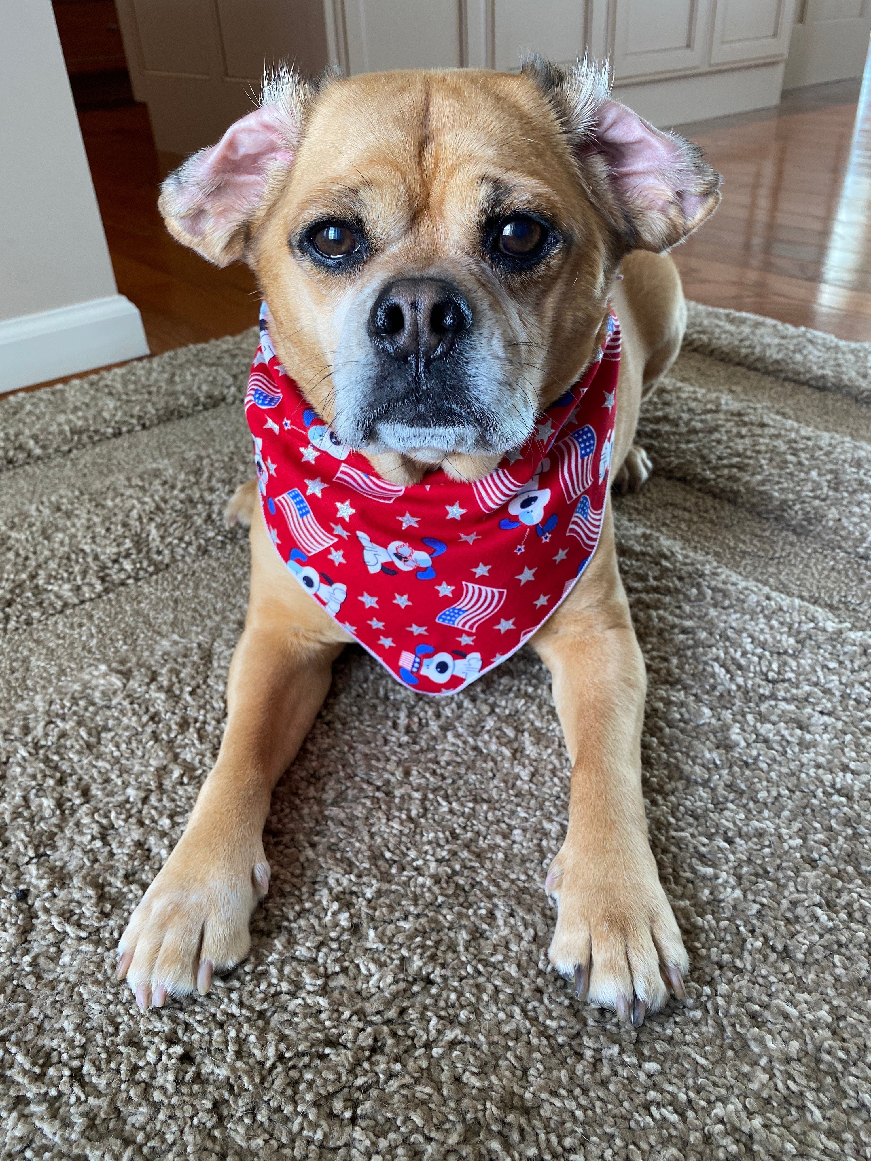 Patriotic Cute Dog Bandana