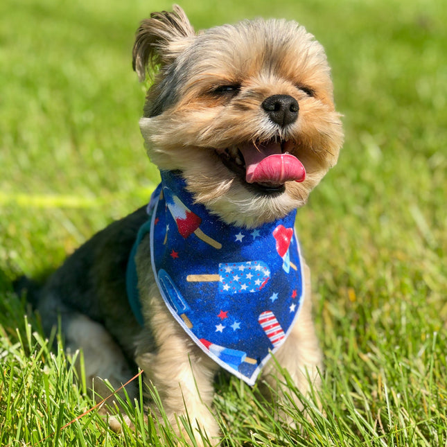 Patriotic Popsicles Bandana