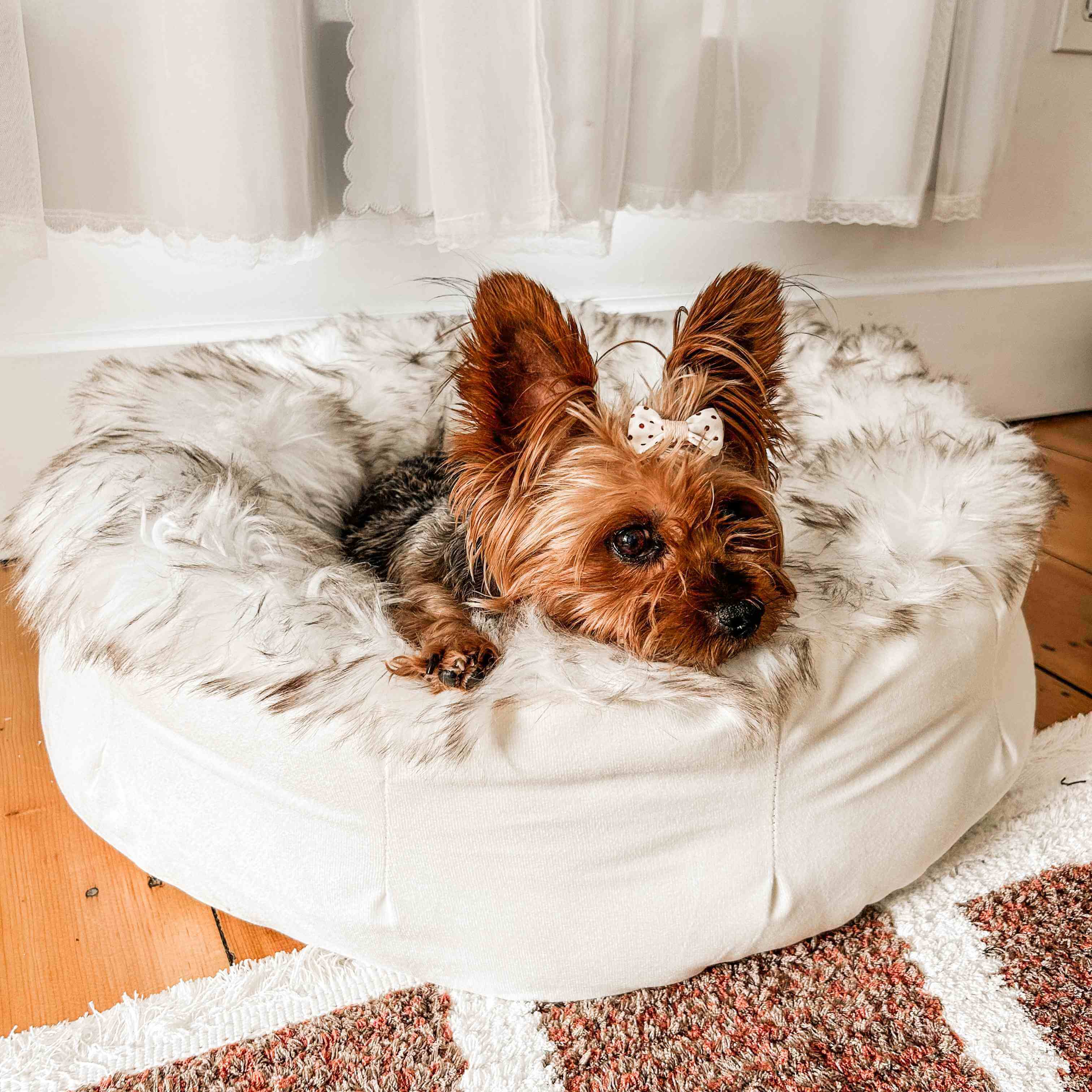 PupPoufFaux Fur Donut Dog Bed - White with Brown Accents