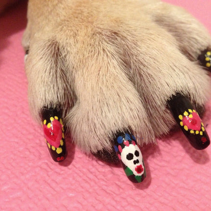 Pawdicure Polish Pen (Dog Nail Polish!) by Warren London