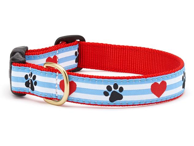 Pawprint Stripe Dog Collar