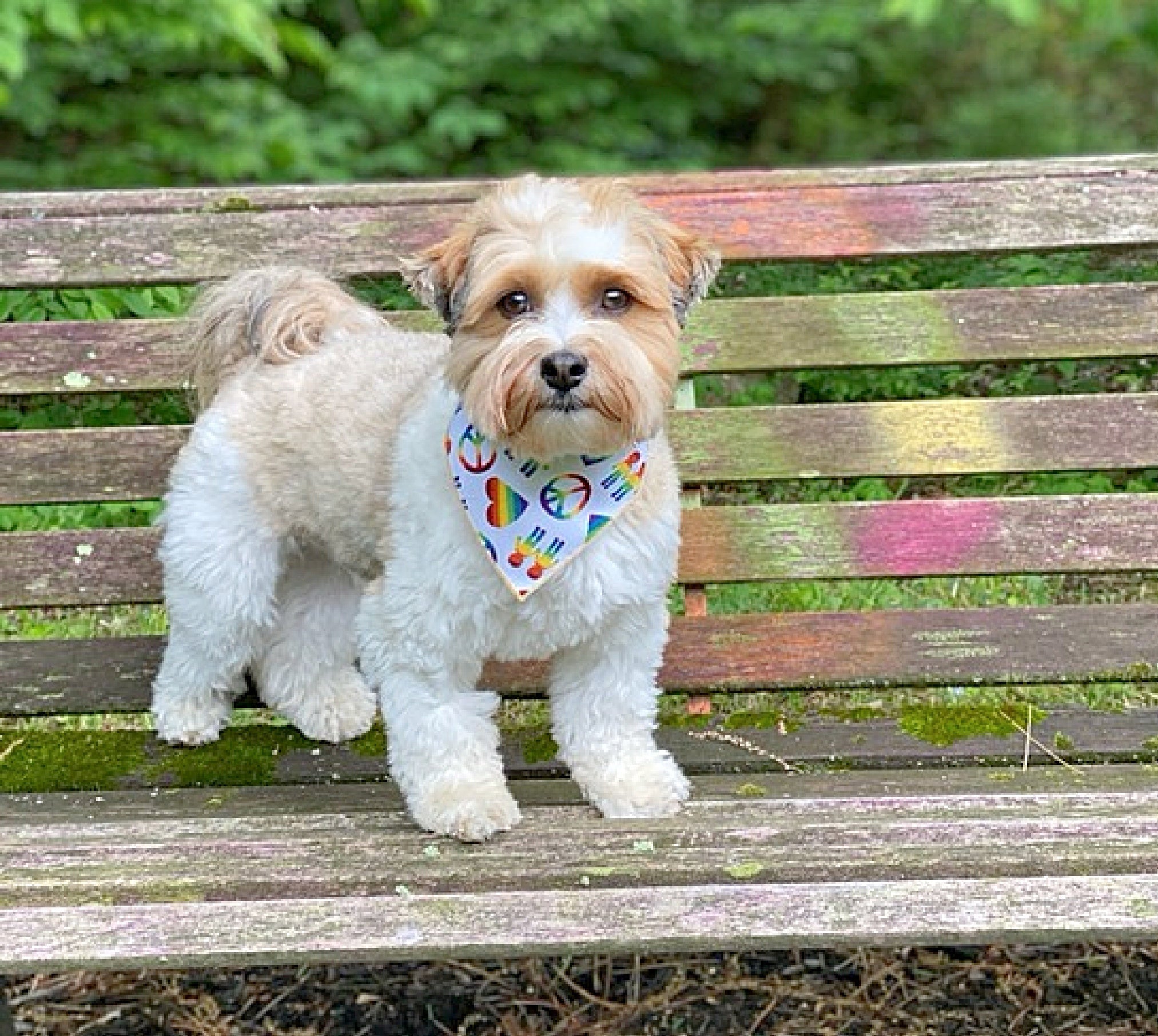 Peace Love Pride Bandana