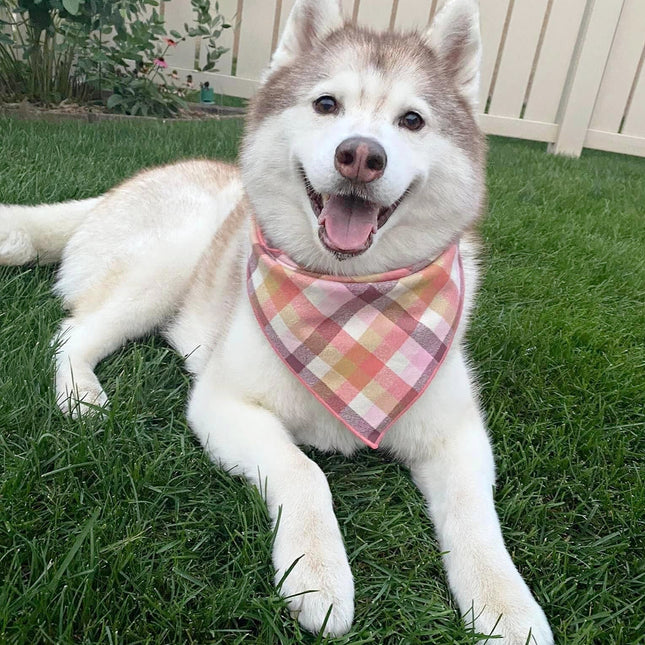 Peach Luxe Bandana