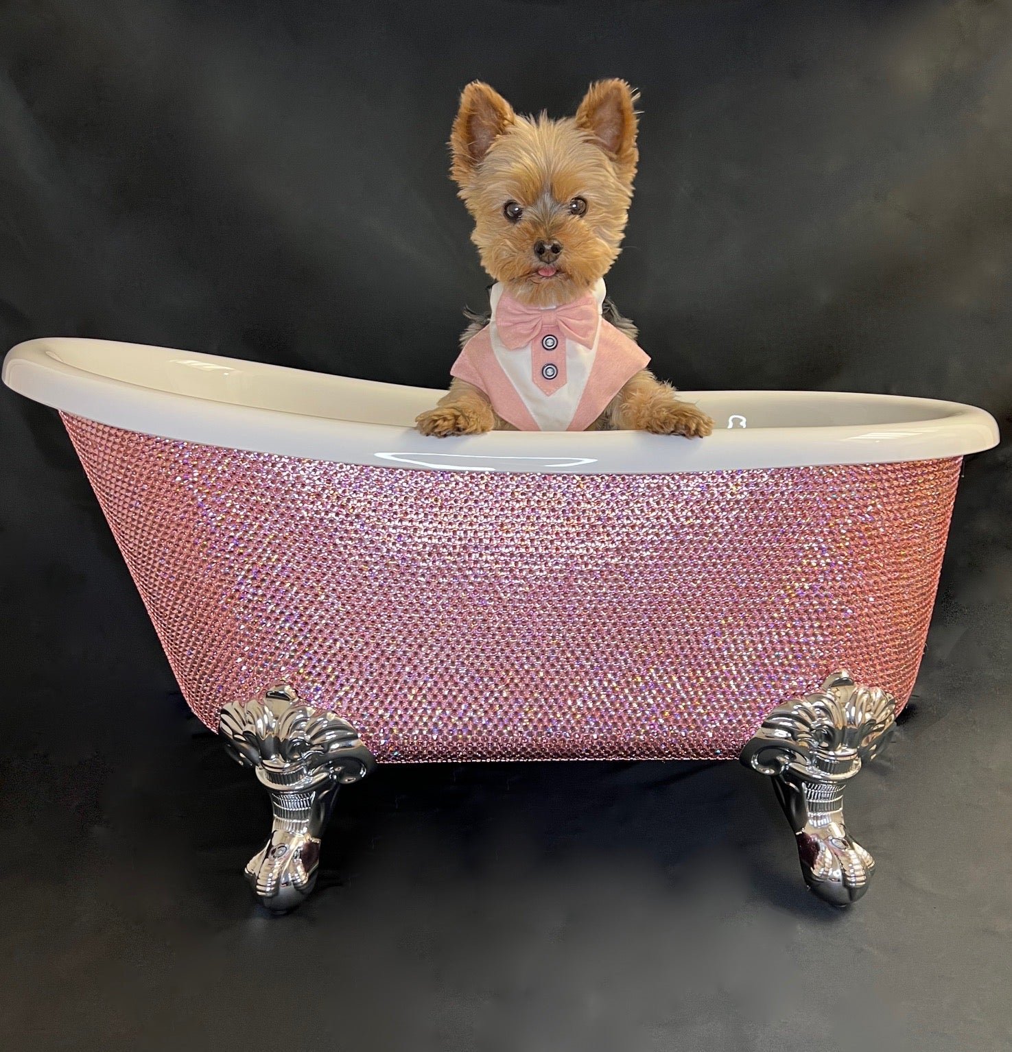 Pet Diamond Crystal Bathtub HT Animal Supply