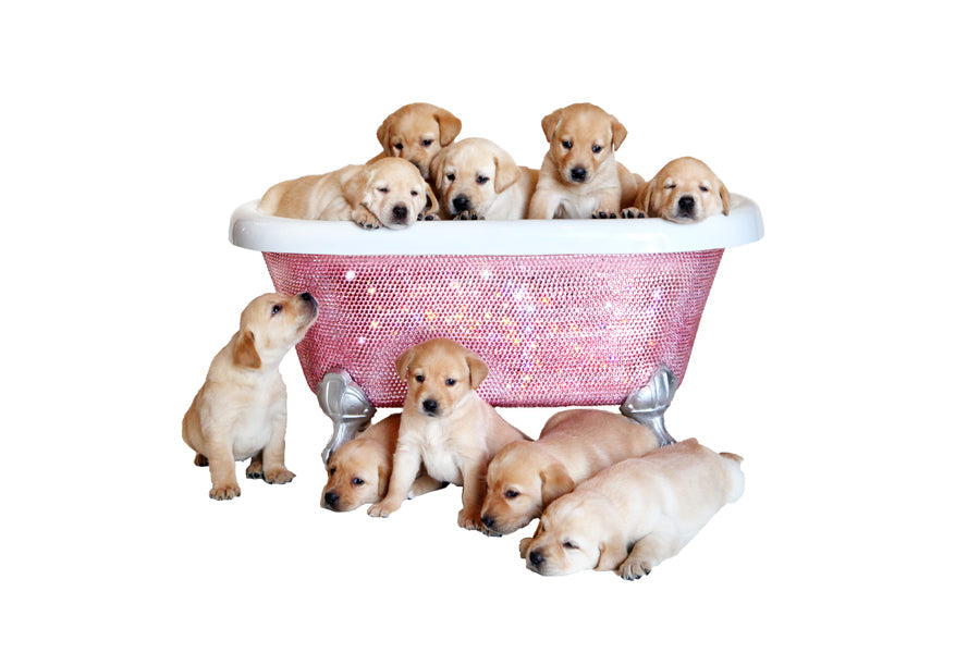 Pet Diamond Crystal Bathtub HT Animal Supply