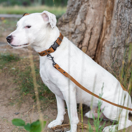 Celtic Sport Khaki Leather Dog Collar