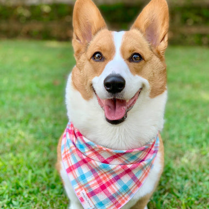 Pink & Blue Plaid Luxe Flannel Dog Bandana