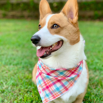 Pink & Blue Plaid Luxe Flannel Dog Bandana