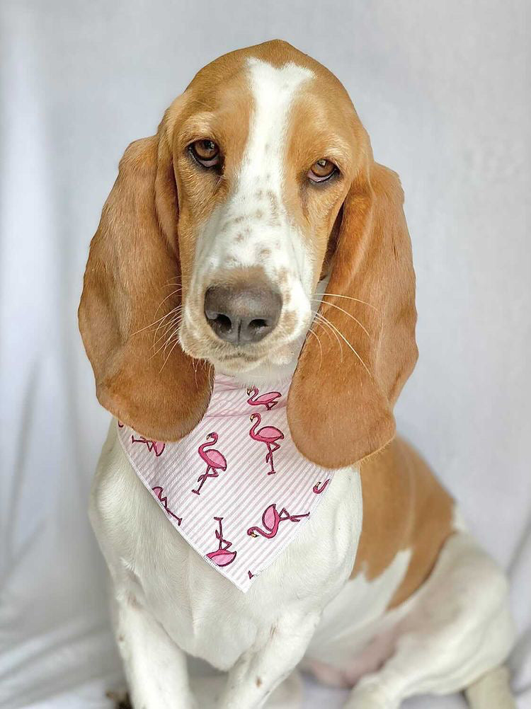 Pink Flamingo Dog Bandana