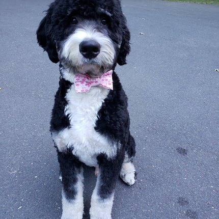 Pink Flamingo Dog Bow Tie