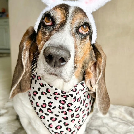 Pink Leopard Print Bandana