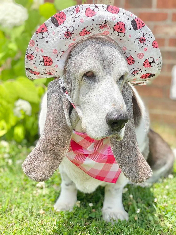 Pink Plaid Bandana