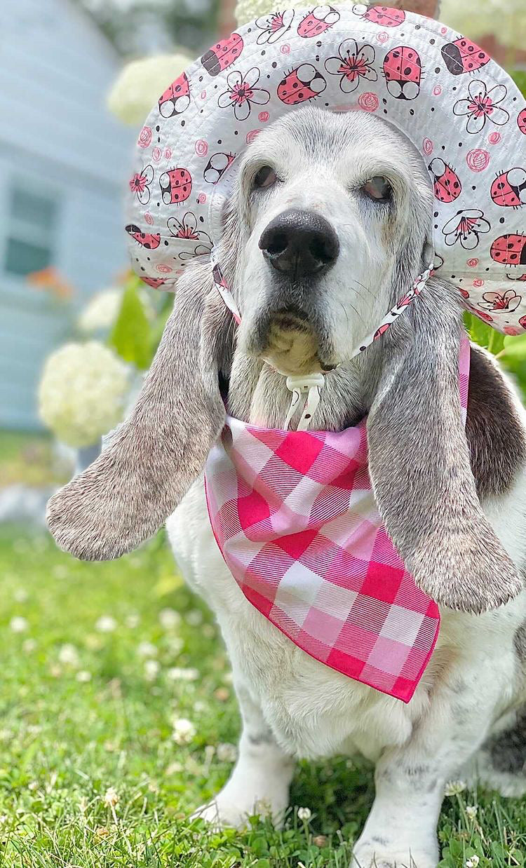 Pink Plaid Bandana