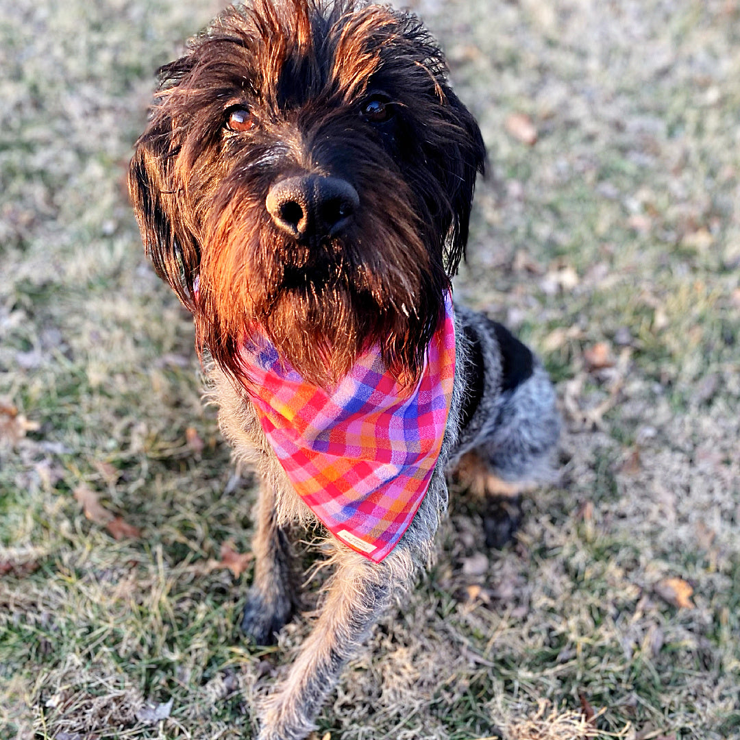 Pink Plaid Luxe Flannel Dog Bandana