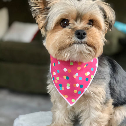 Pink Polka Dog Bandana