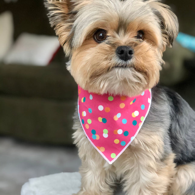 Pink Polka Dog Bandana