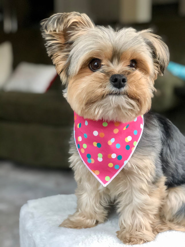 Pink Polka Dog Bandana