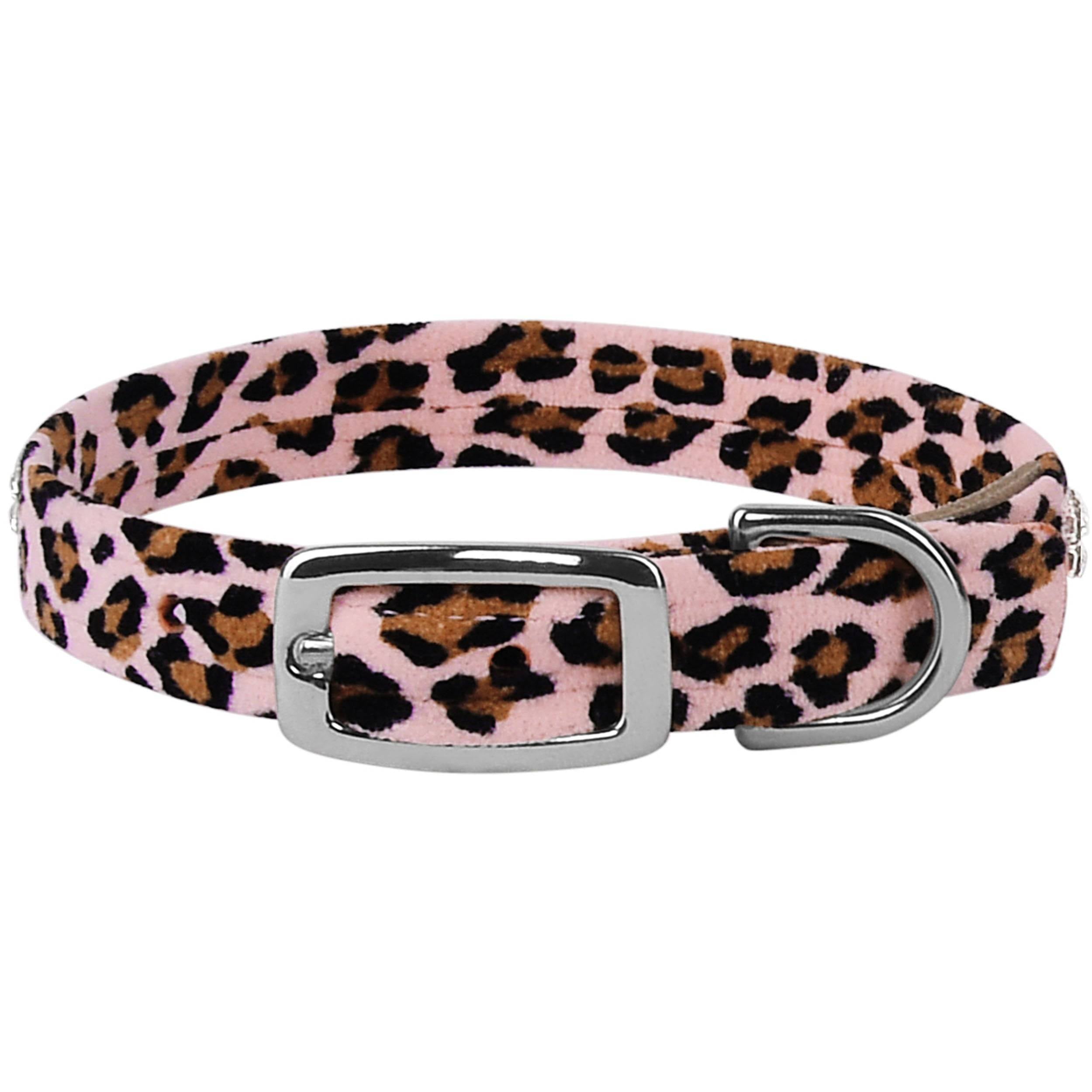 Cheetah Couture 2 Row Giltmore Collar