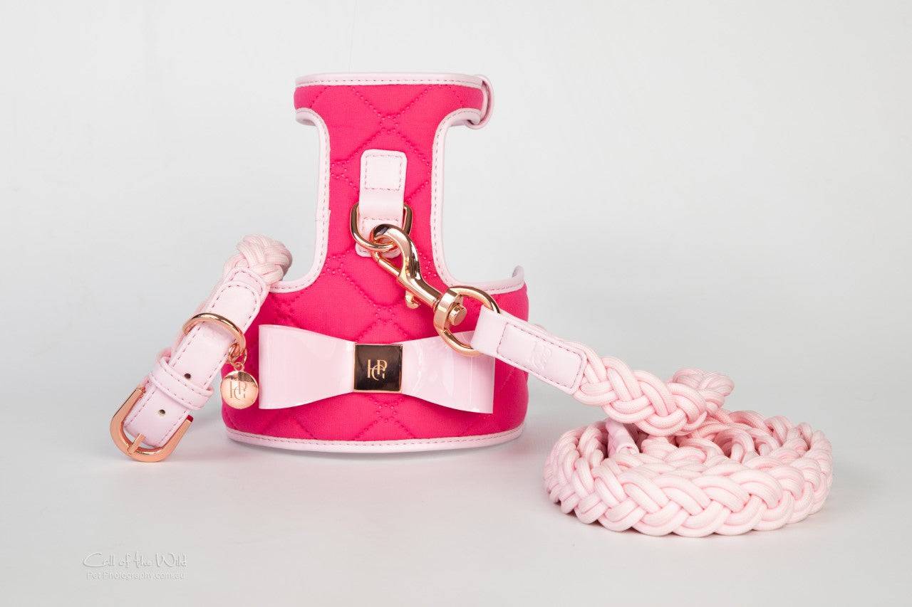 The Fuchsia Dog Harness