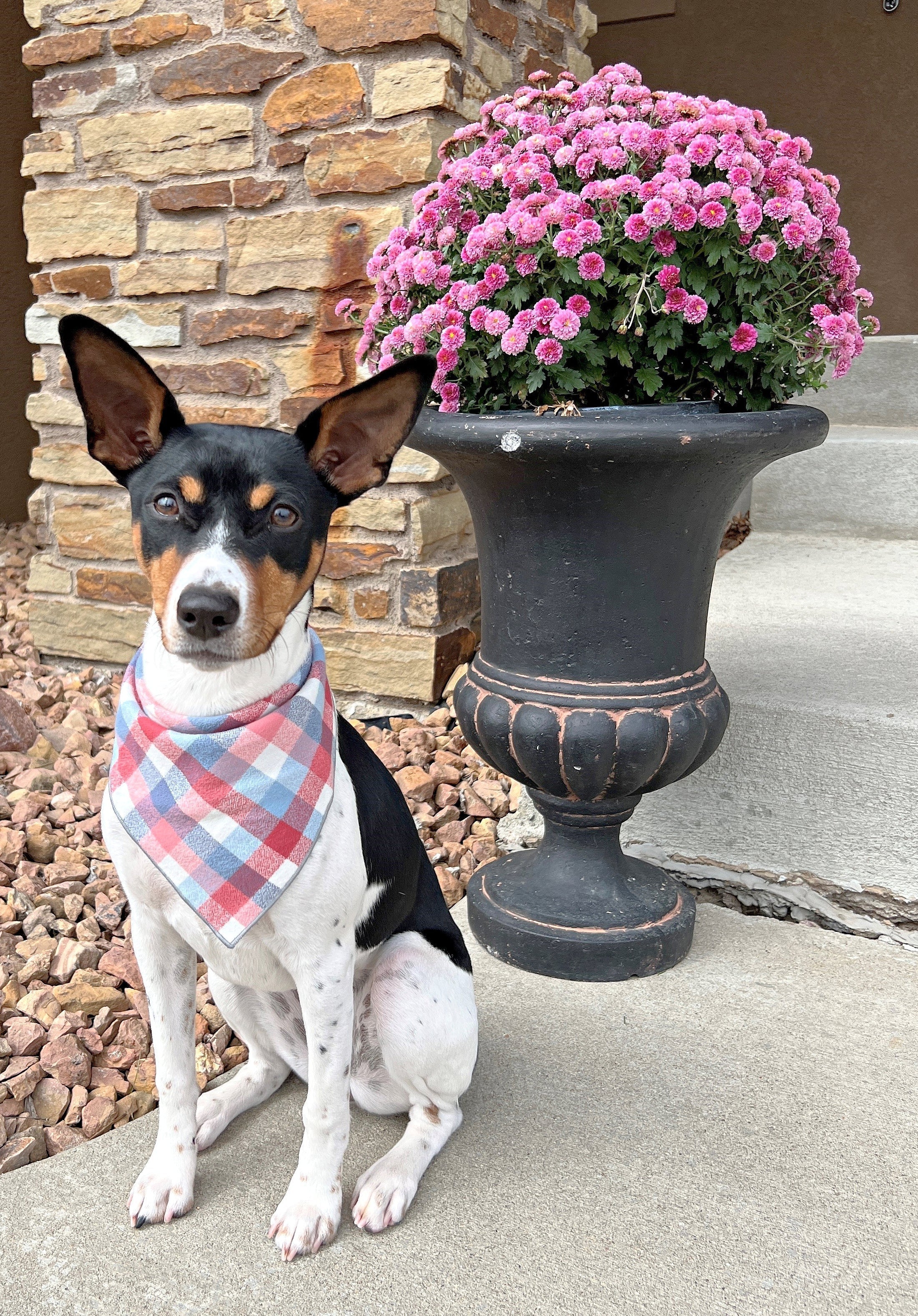 Plaid Luxe Flannel Dog Bandana