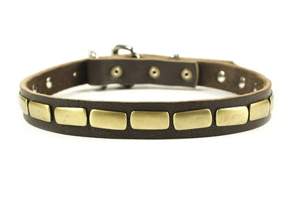 Plated Beauty Collar 1" Width