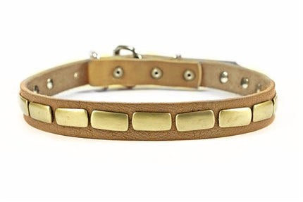 Plated Beauty Collar 1" Width