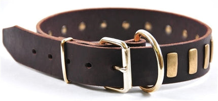 Plated Perfection Collar 1 1/2" Width