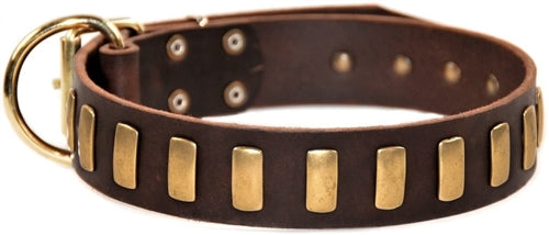 Plated Perfection Collar 1 1/2" Width