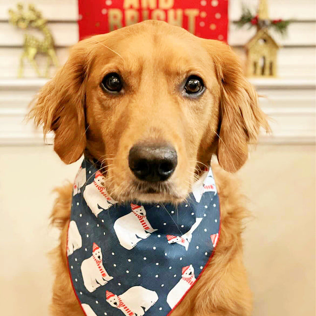 Polar Bear Dog Bandana