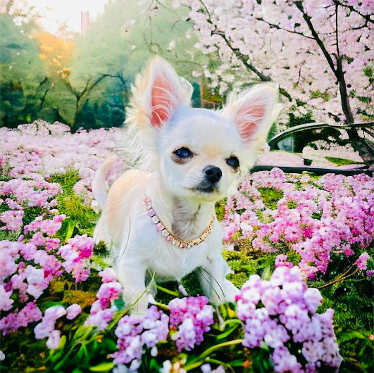 Precious Heart Dog Necklace