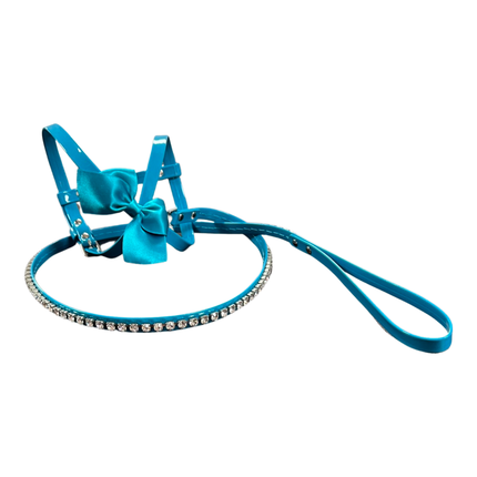 Fashion Dog Harness and Leash Set - Aqua Blue