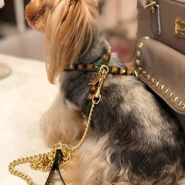 Fashion Dog Harness and Chain Leash Set - Olive Green with Gold Studs