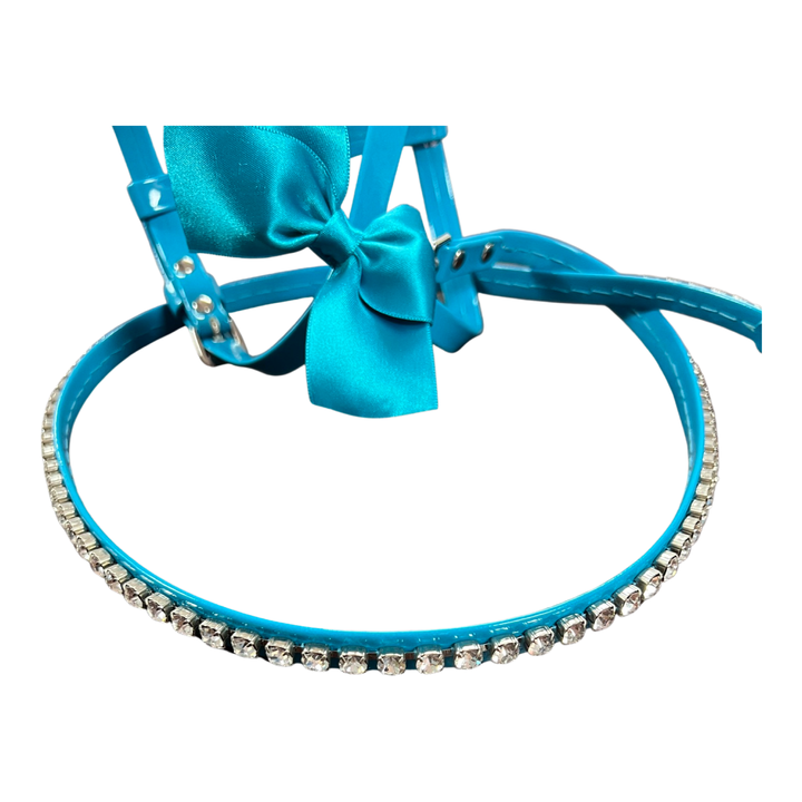 Fashion Dog Harness and Leash Set - Aqua Blue