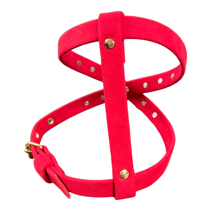 Fashion Dog Harness and Leash Set - Red with White Flowers