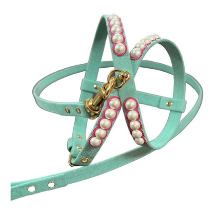 Fashion Dog Harness and Leash Set - Tiffany Blue with Pink and Pearls