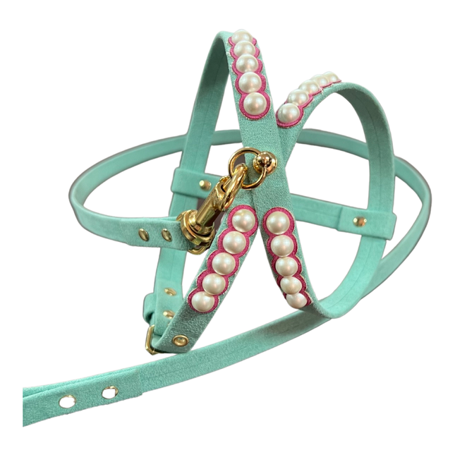 Fashion Dog Harness and Leash Set - Tiffany Blue with Pink and Pearls