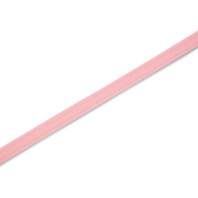 Puppy Pink Solid Leash